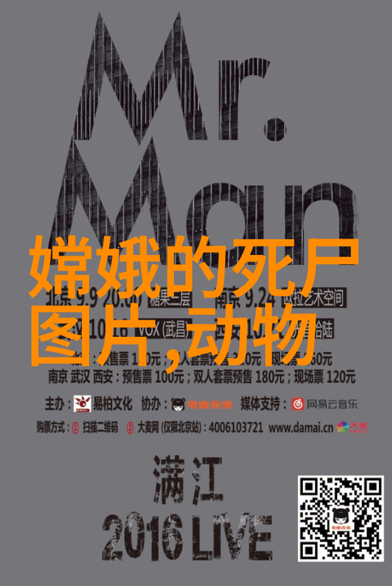 血红的回声泪幕之下永恒的誓言