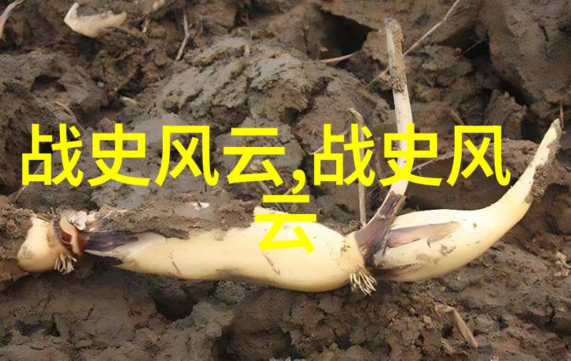 明朝末年后金入关的铁血征途