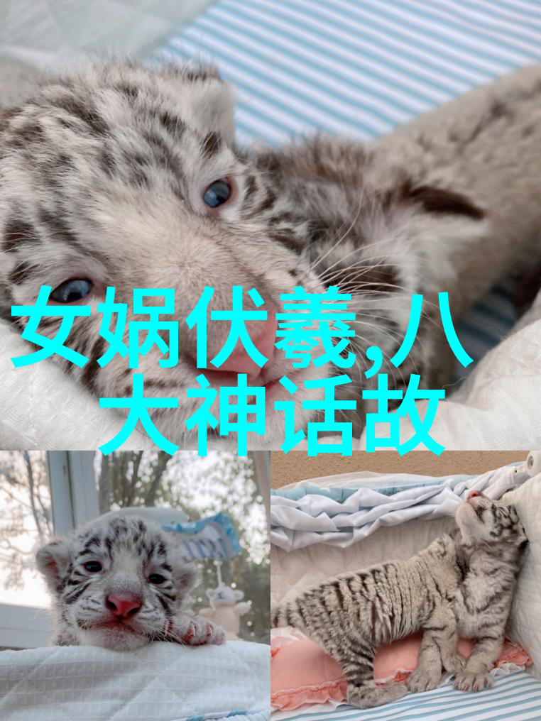 跨越时代的智慧宝库探究中国神话故事大全之谜
