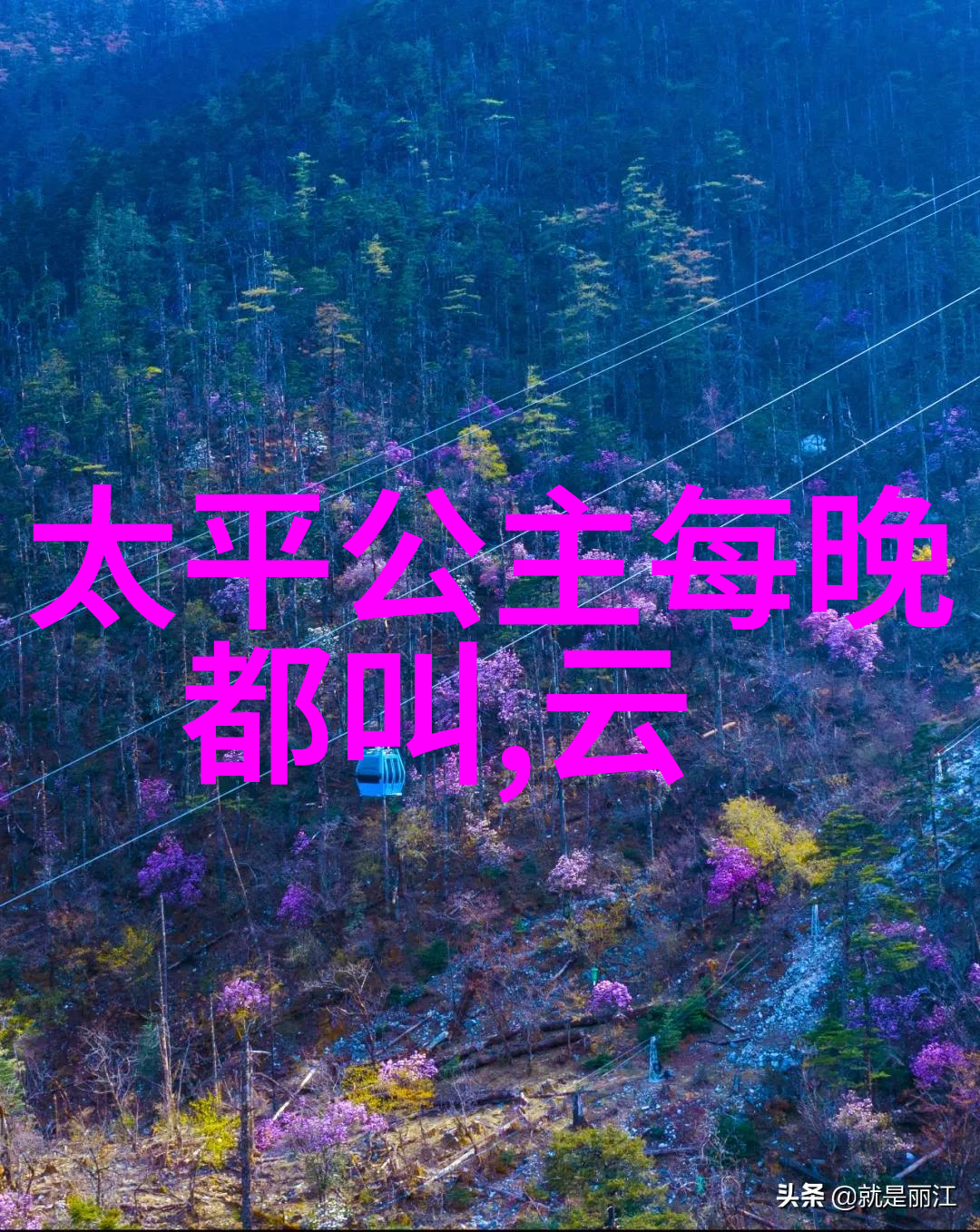 中国古代的山海经记录了哪些奇异生物和地理奇观