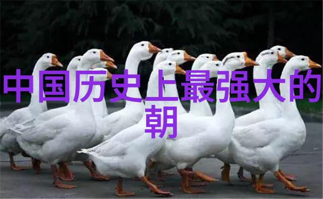 中国五千年历史大事件-穿越时光揭秘中华文明的关键瞬间