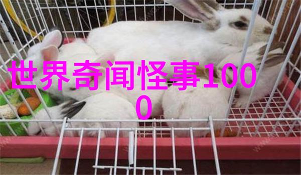 神秘的土地守护者解读民间关于山神的各种传说
