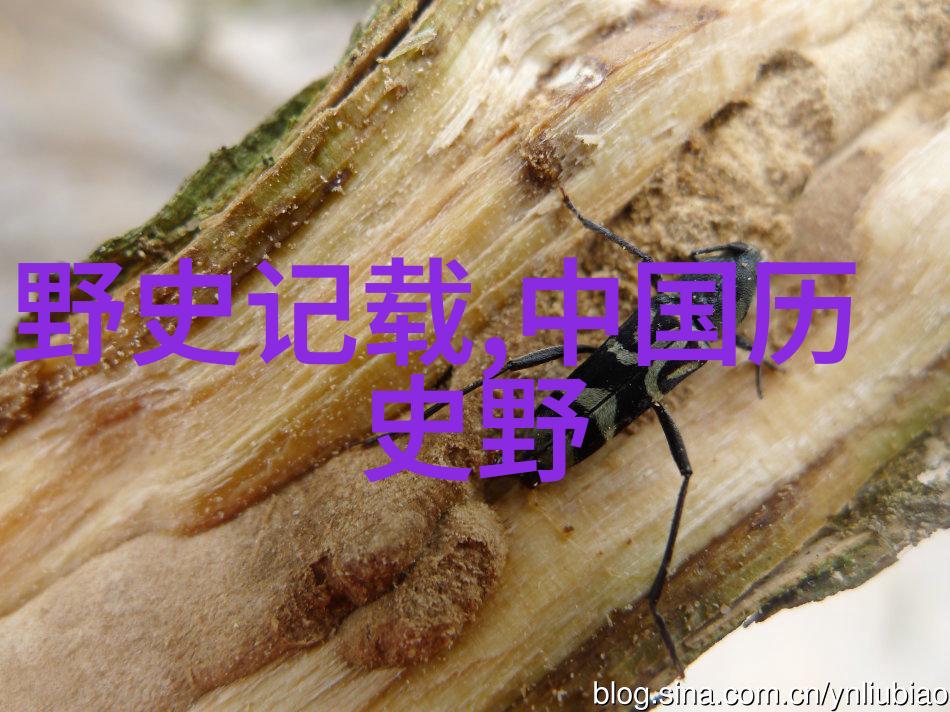 孔子和儒家思想对中国文化影响之深远