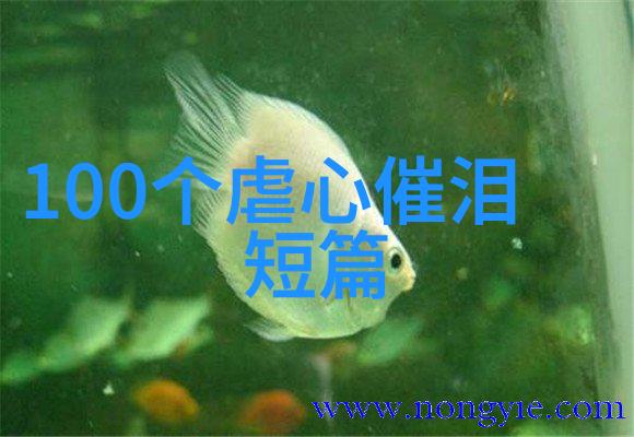 未知的历史之谜揭秘那些隐藏在时间长河中的野史趣闻