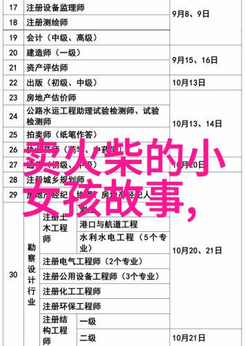 从红楼梦到清风月夜探讨文人的社会责任感