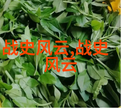 元朝科学与技术的辉煌探索古代高科技成就