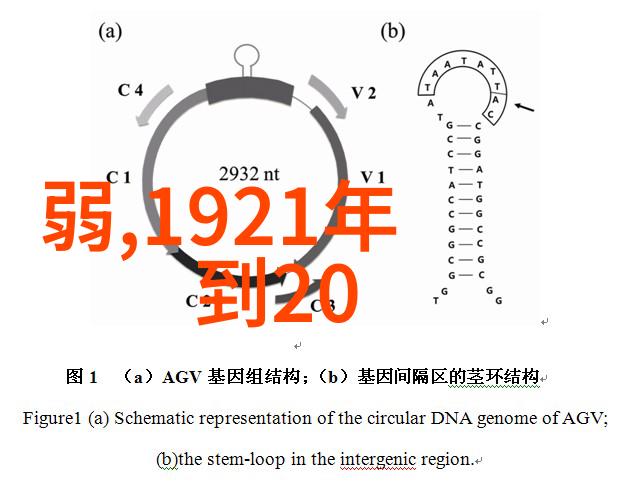穿越时空的眼角余光解读那些让人屏息的野史真相