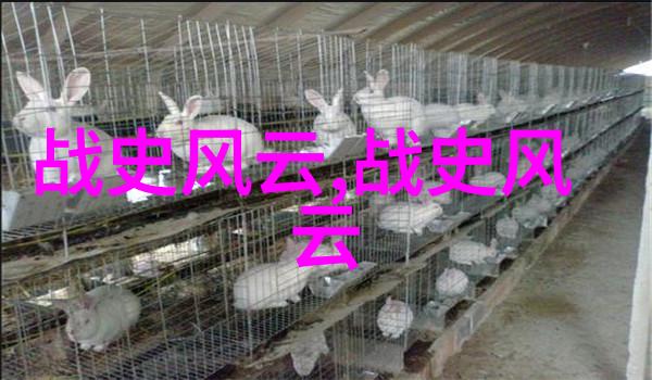清朝十二帝辉煌公主与格格的宫廷秘密称呼之谜解锁