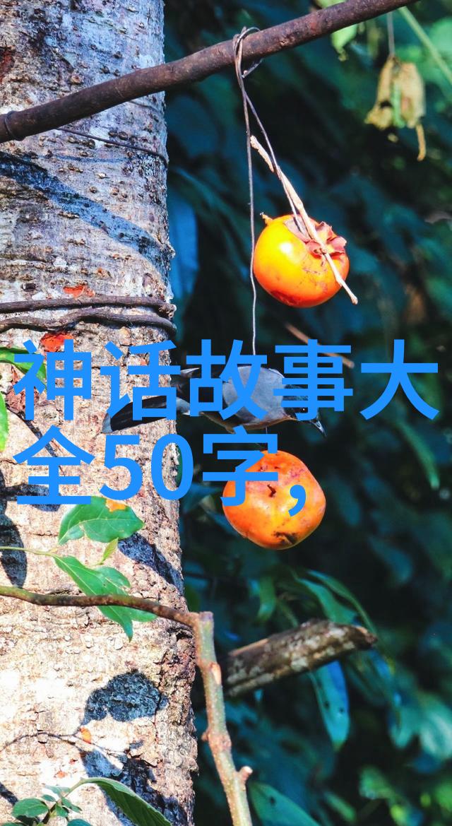 忽必烈征服日本的梦想元朝帝王与自然风云之间的较量