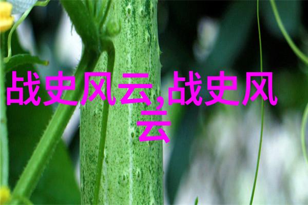 星光下的幽灵市场探秘看世界奇闻异事素材网的最深层