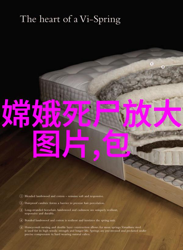 历史人物探秘曹操的雄才大略