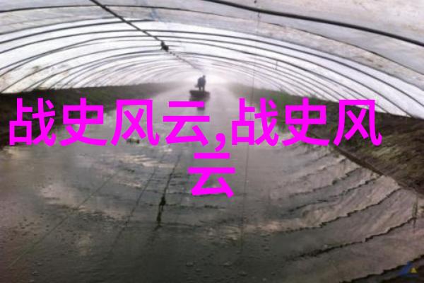 忘忧草影视作品WWW高清总结