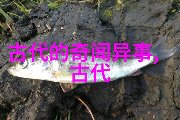 李尤婉云探访京剧界龌龊背后故事