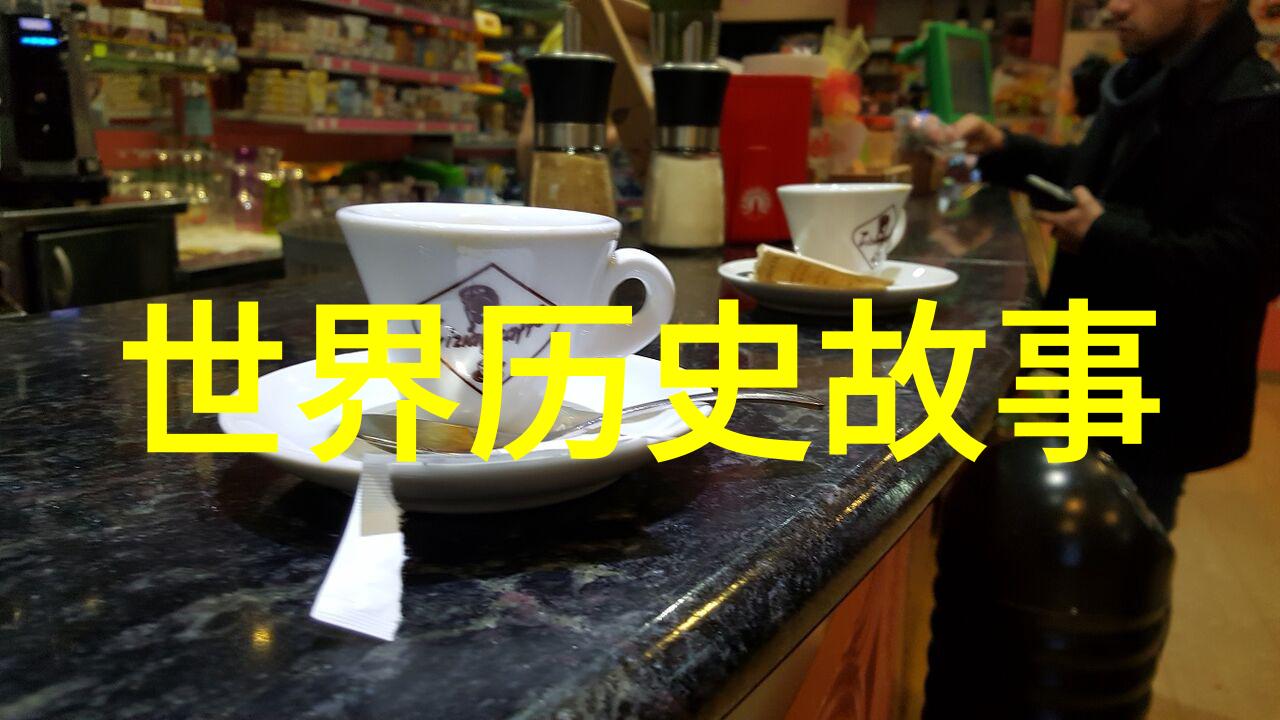 两次世界大战的硝烟与启示