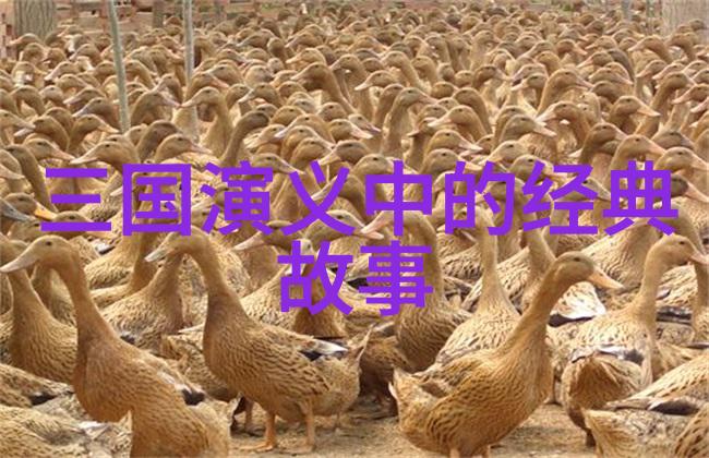 時間旅行者的一分鐘歷史挑戰 重拾過去的偉人足跡