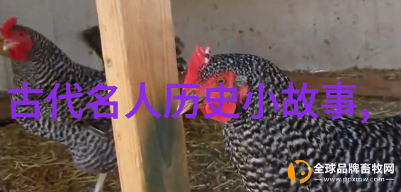 痛楚中的扑克夜女人迈开腿的故事