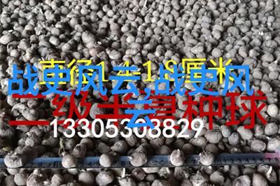 信仰与科学之间的小径追踪100个人类社会中的真正灵异现象