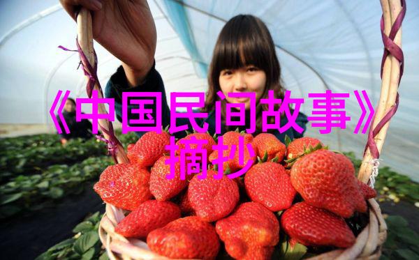 我是歌手第三季范晓萱音色如夜空璀璨的星辰回声中蕴含着深邃的艺术世界