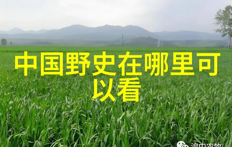 明末八旗军的恐怖战斗力亲历者们是如何惊叹的
