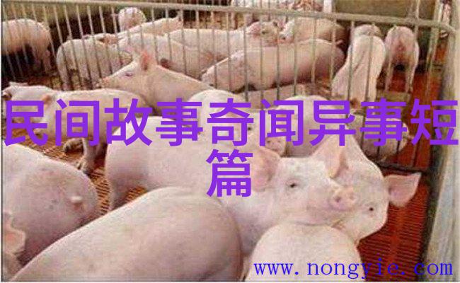 缔造童年的奇迹少儿神话故事大全编撰技巧分析