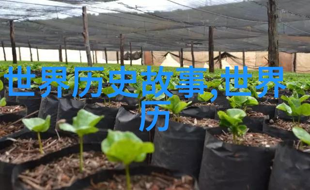 门事件完整我家大门的奇妙变故从报废到焕然一新