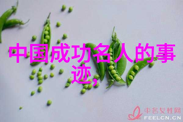 秦国七代无昏君数据揭秘