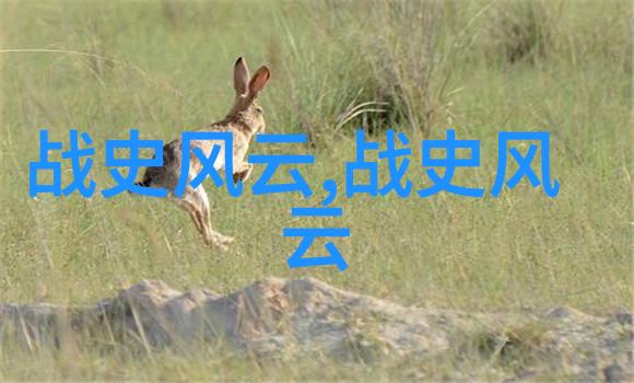 少女轻步引领少年必争二次元中的扑克之战
