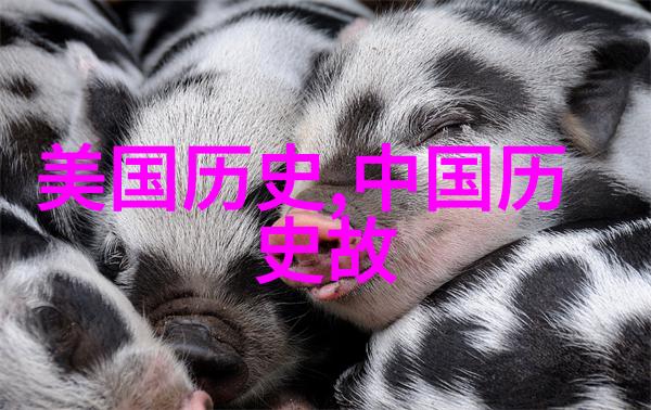 聂祖唐军事专家在社会中的影响力探讨