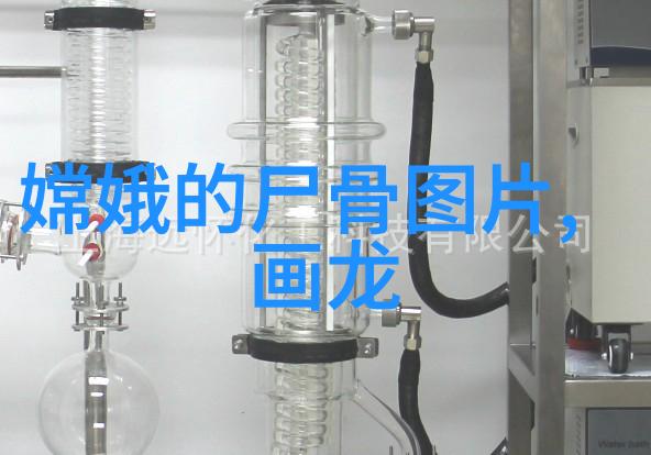 孪生兄弟3ph尴尬我的生活里悄然发生的变化