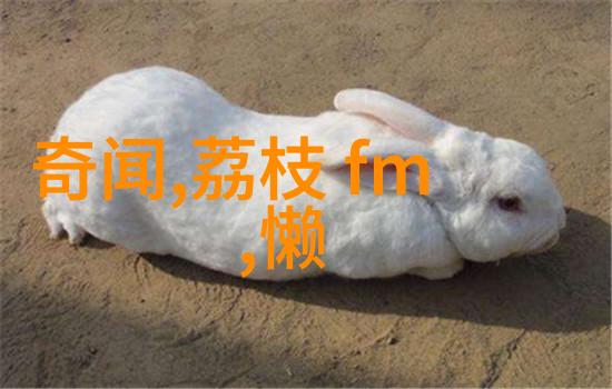 情感管理在一夫多妻生活中的重要性讨论