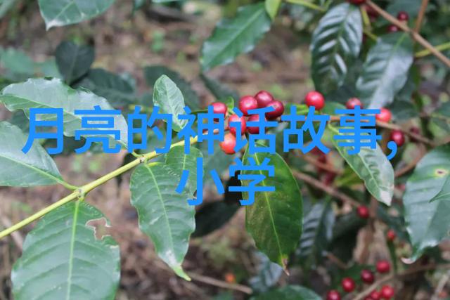 轻触古今交界处聆听永恒旋律一本书一片世界中國傳奇
