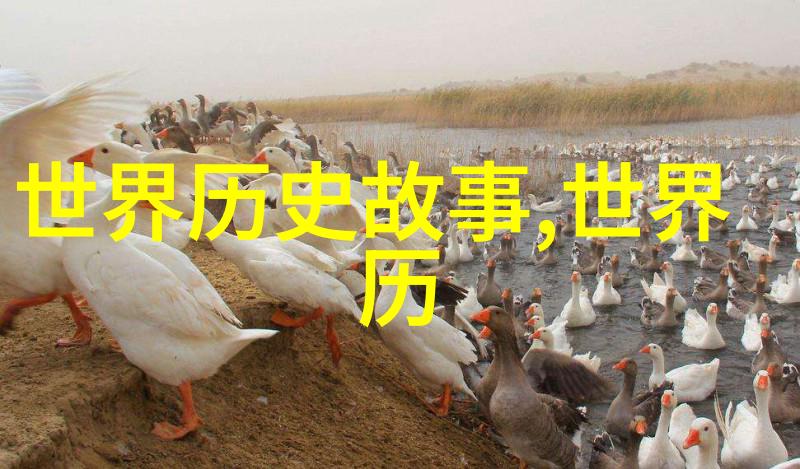 追学网上的中国历史如何让过去活在未来