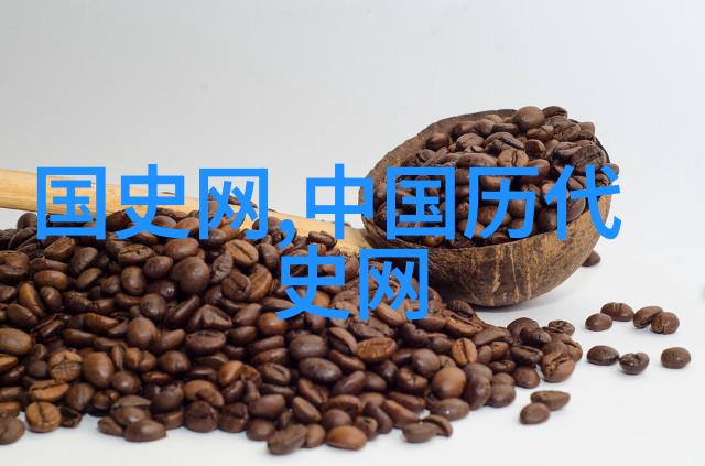 文化大革命中的孩子们二年级理解历史真相