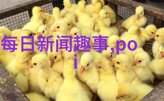 南北朝三十六猛将之连妃宛若战阵中最耀眼的星辰闪烁着不可一世的光芒