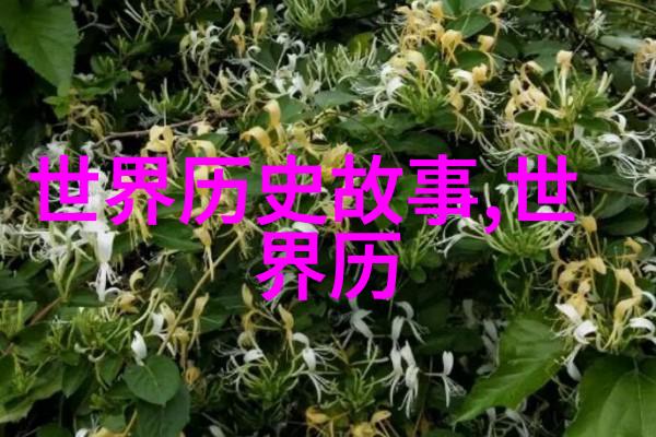拒绝被误导揭秘故宫旅游中常见的十大谬解释