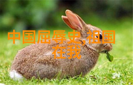 辽阔的历史长卷金国的繁荣与衰落