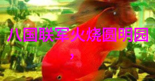走进历史博物馆看见未曾公布的珍贵资料探寻新的野史趣闻