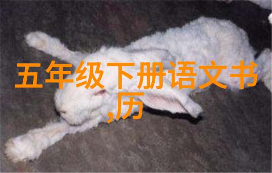 神话故事100篇二年级我和小朋友们的神奇冒险从龙珠到仙女的秘密