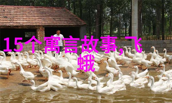 历史记载与现代叙事之间存在怎样的差异解释了明朝丑化现象