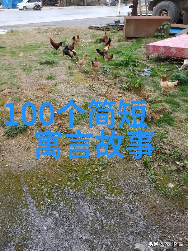 宋朝有趣的历史故事简介