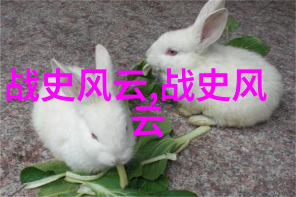 四年级神话故事大全 - 神话奇遇儿童版古典传说集