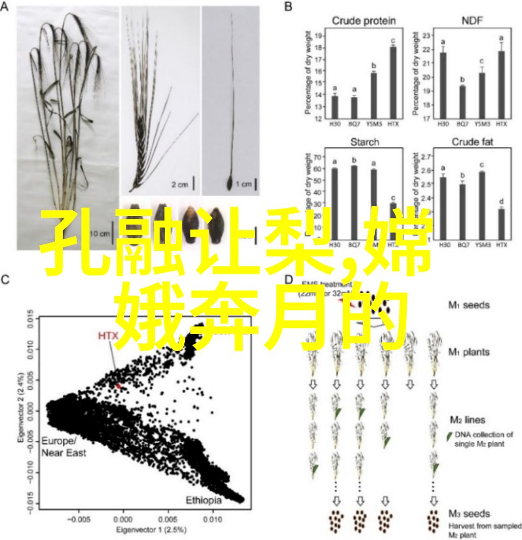 他的生平对当代年轻人有什么启示性教训吗