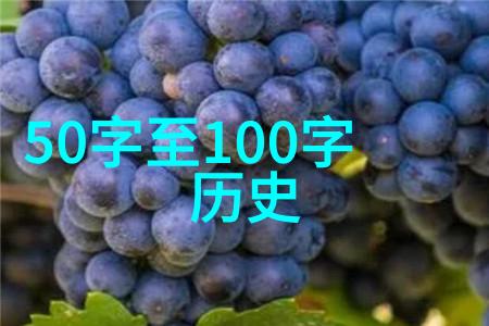 历史长河中的奇迹与悲剧揭秘古今传说