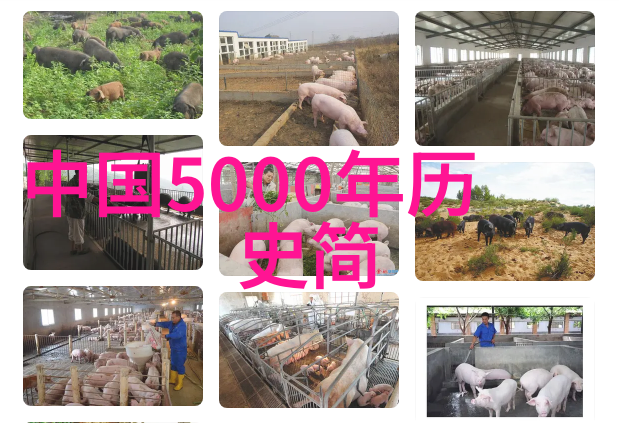 京剧中的女扮男装如同花瓶中盛放的雄鹰