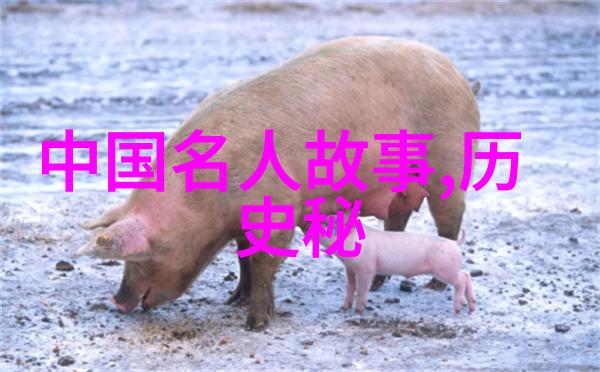 爱因斯坦 物理学领域中的奇迹般发现