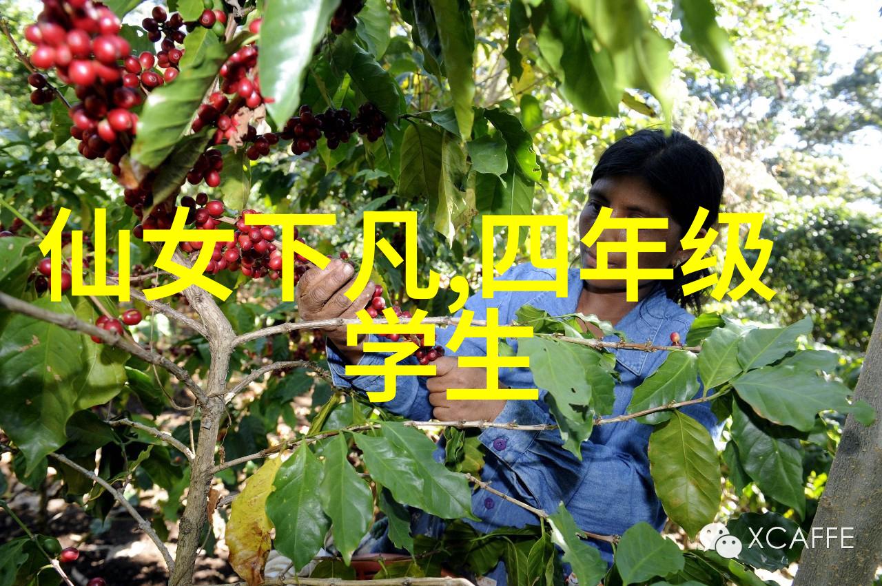 北北的书法作品能值钱吗