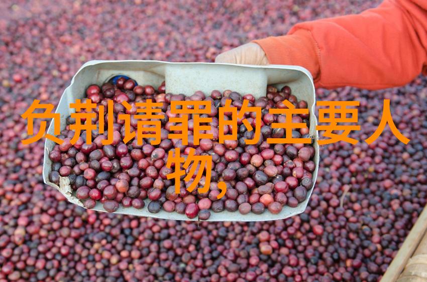 21世纪野史时光机器里的秘密