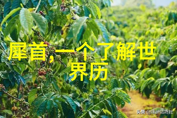 元朝的末日从忽必烈到忽悠必离