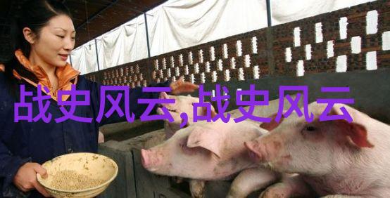 中国历史网追学网我在追学网上探秘中国历史的奇妙之旅
