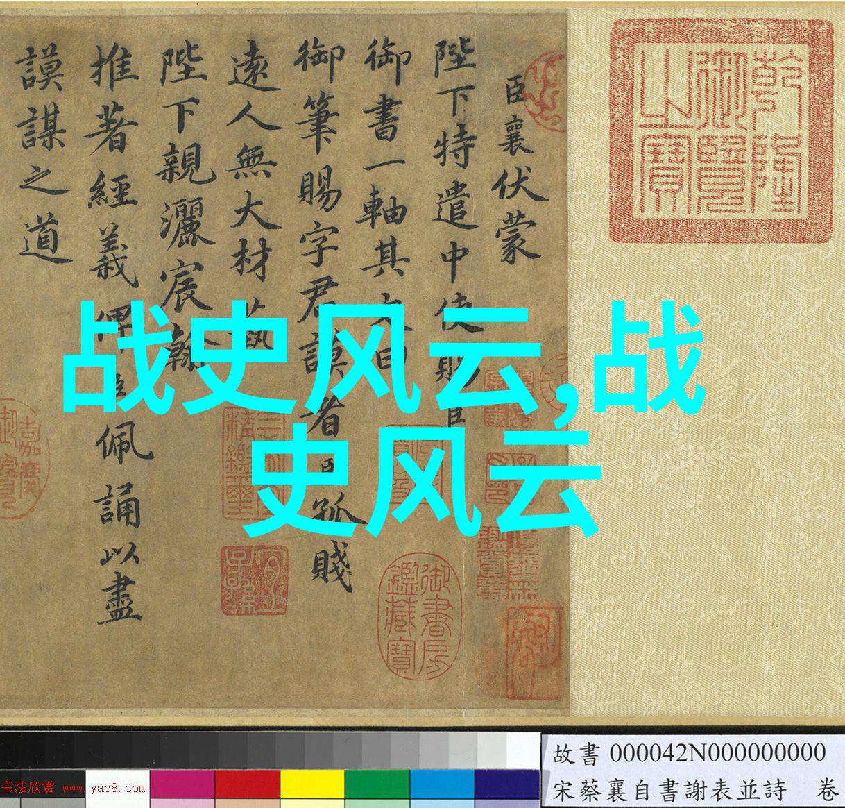 铁血小战士张学良的孤胆斗争